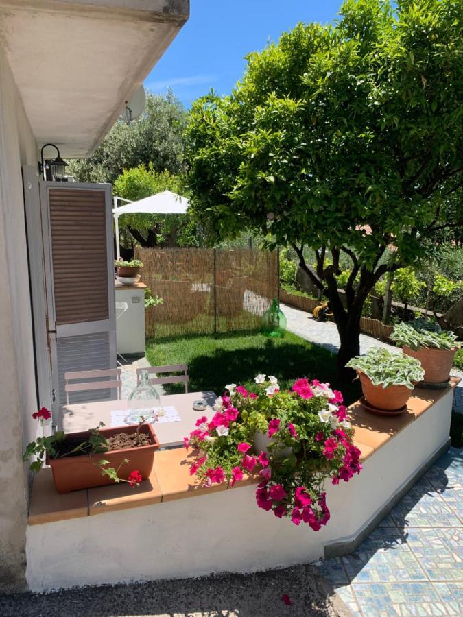 B&B Blanda Maratea Exteriör bild